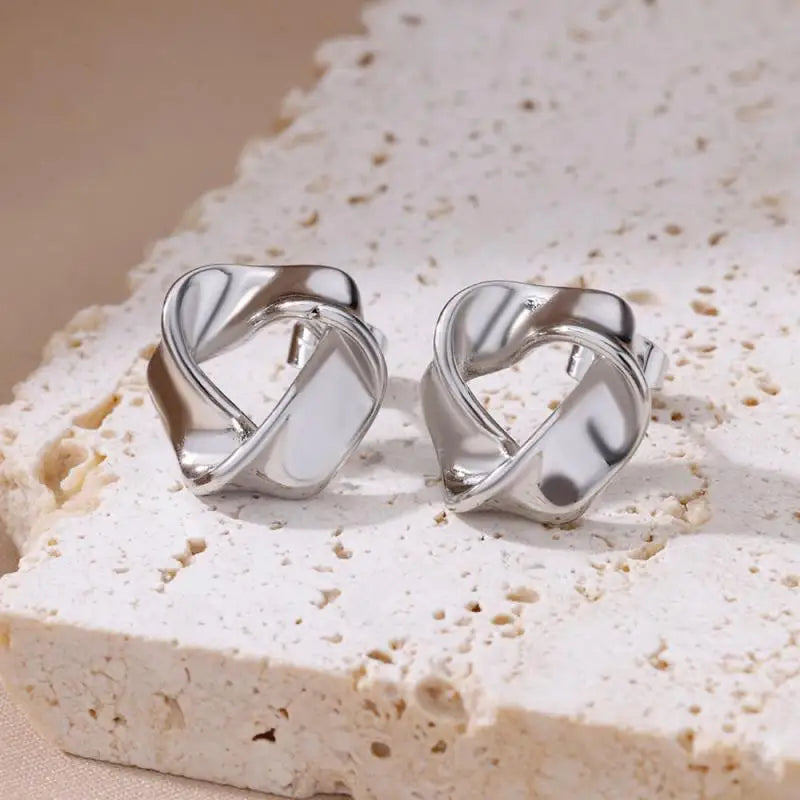 Stainless Steel Earrings