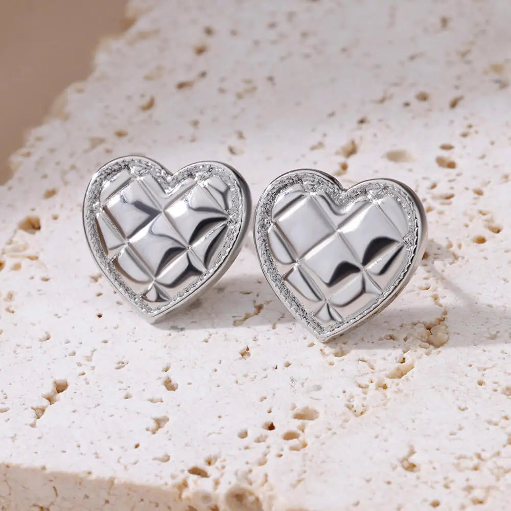 Stainless Steel Earrings