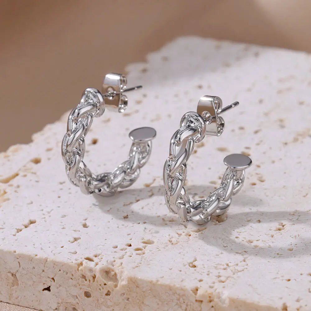 Stainless Steel Earrings