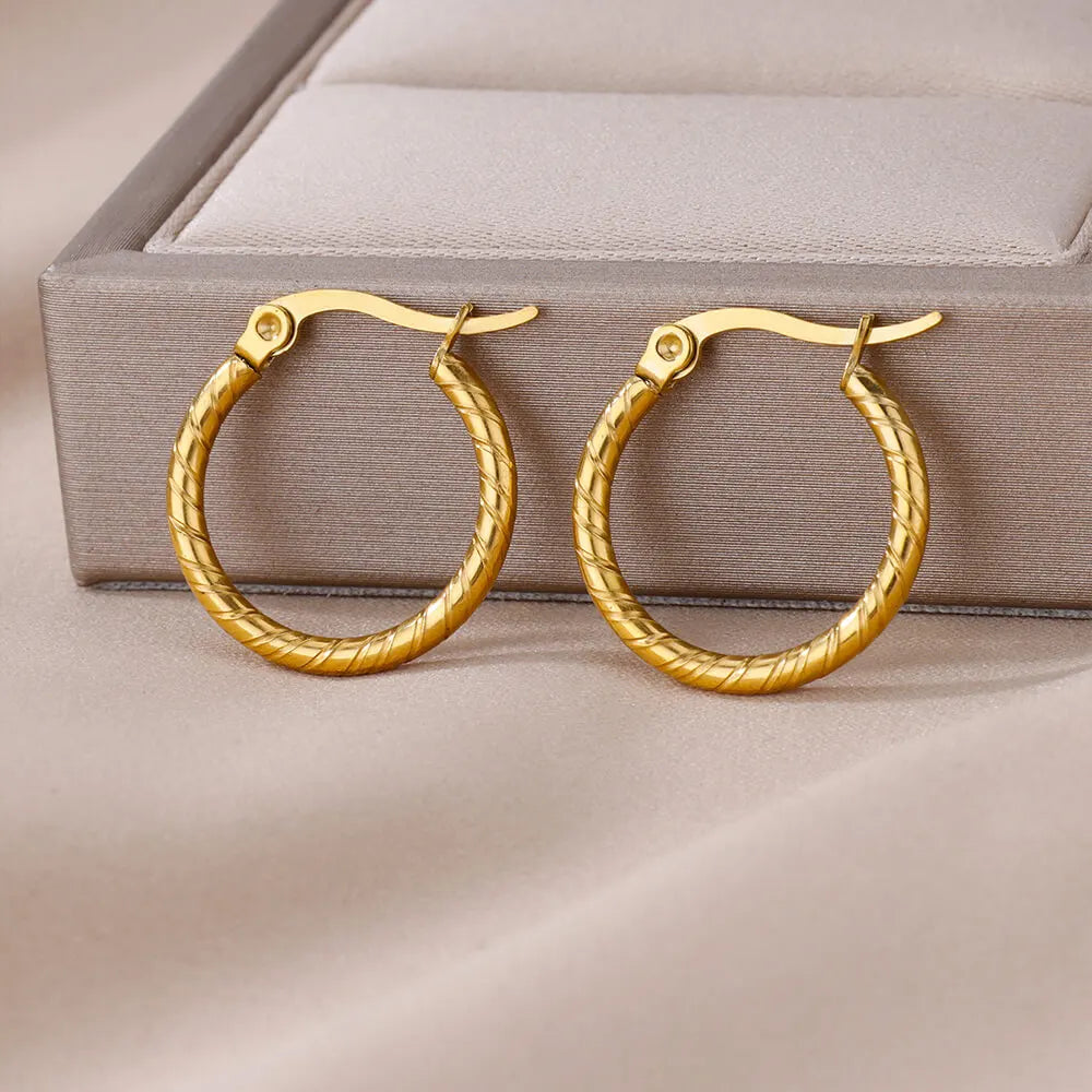 Stainless Steel Vintage Round Hoop Earrings For Women Earring Statement Ear Christmas Jewelry