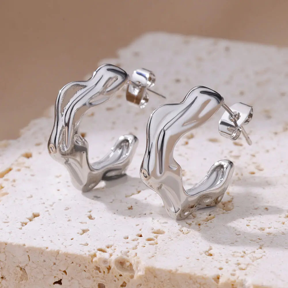 Stainless Steel Earrings